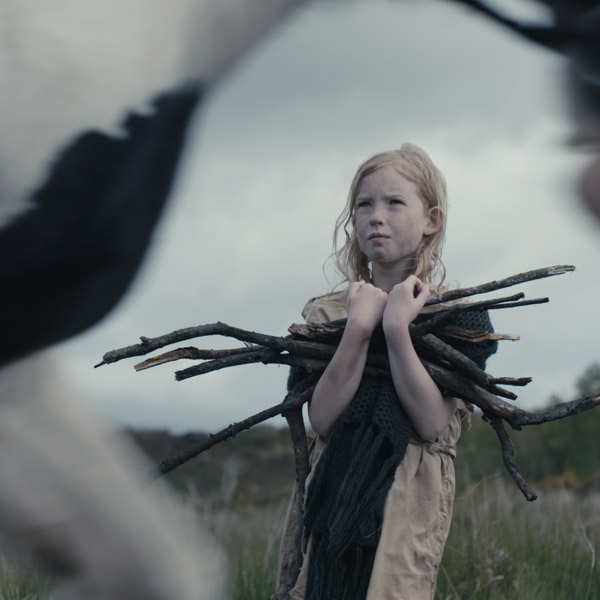 Bolt the Door Films Heritage Ireland Company